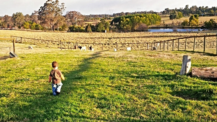 The best farm stays near Sydney for families