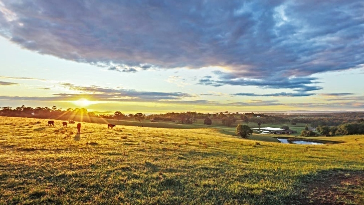 Mowbray Park Farm Stay