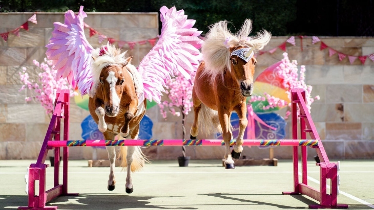 Sydney Unicorn Festival