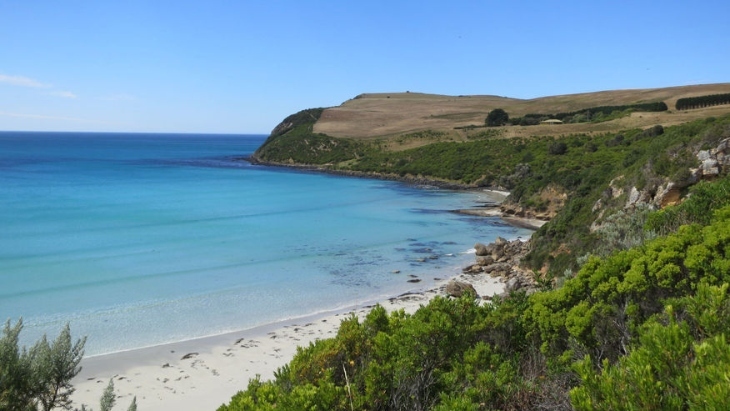 Where to go whale watching in Victoria