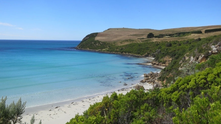 Cape Bridgewater