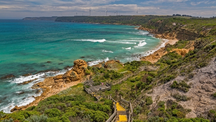 Where to go whale watching in Victoria
