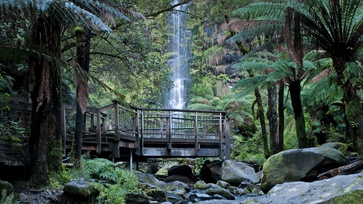 Sheoak Falls