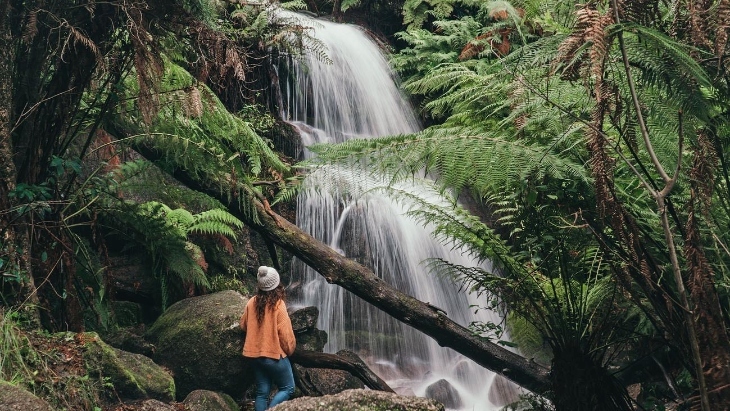Ferntree Falls