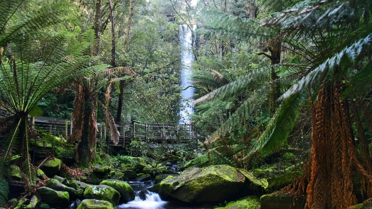 The best waterfalls near Melbourne