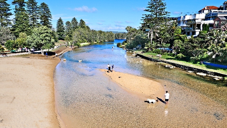 The best dog beaches in Sydney