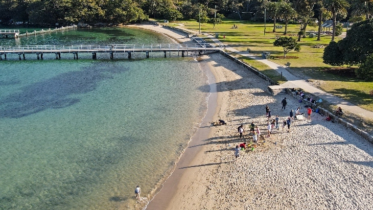 The best dog beaches in Sydney