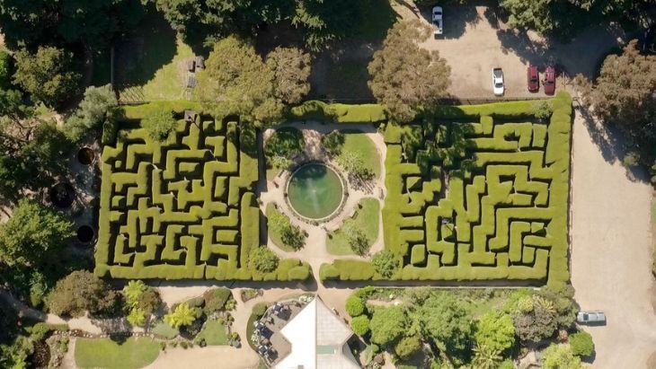 Ashcombe Maze and Lavender Farm