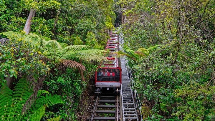 Blue Mountains Day Tours