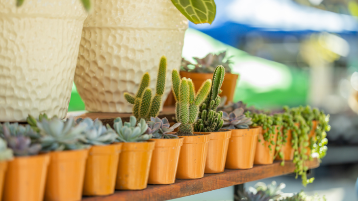 The best markets on the Mornington Peninsula