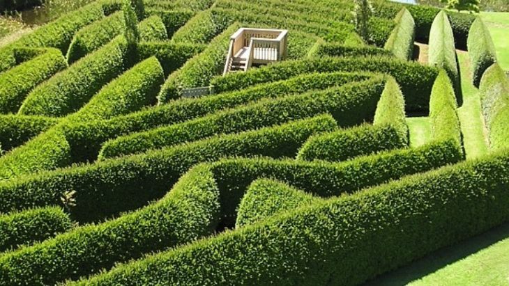 Boneo Discovery Maze