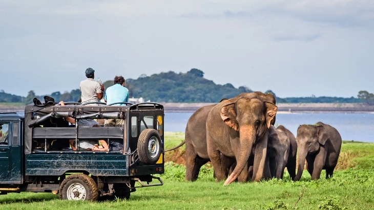 Family holidays in Sri Lanka