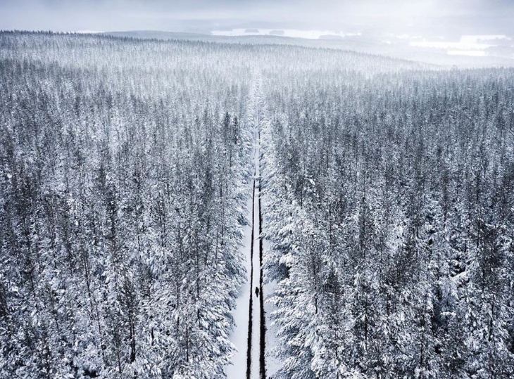 Snow near Sydney 2024
