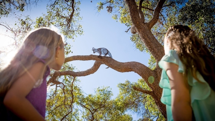 Whiteman Park Children's Forest