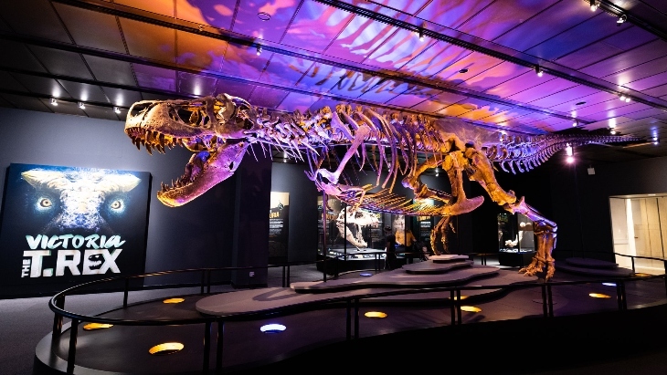 Victoria the T. rex at Melbourne Museum