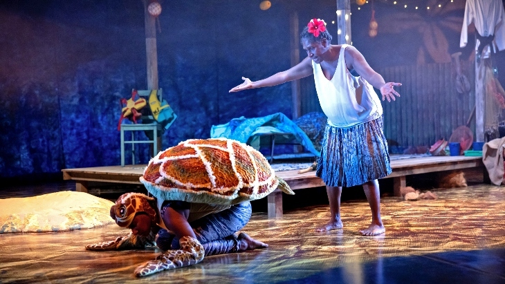 Waru - Journey of the Small Turtle