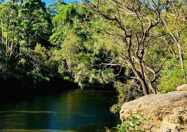 Wolli Creek Regional Park