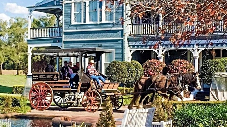 Horse and Carriage Winery Tasting Tour