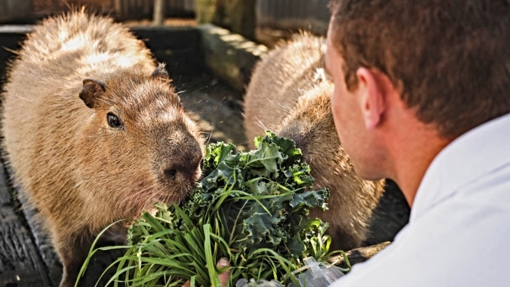 Hunter Valley Wildlife Park