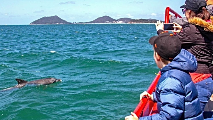 Port Stephens Dolphin Watch Express Cruise