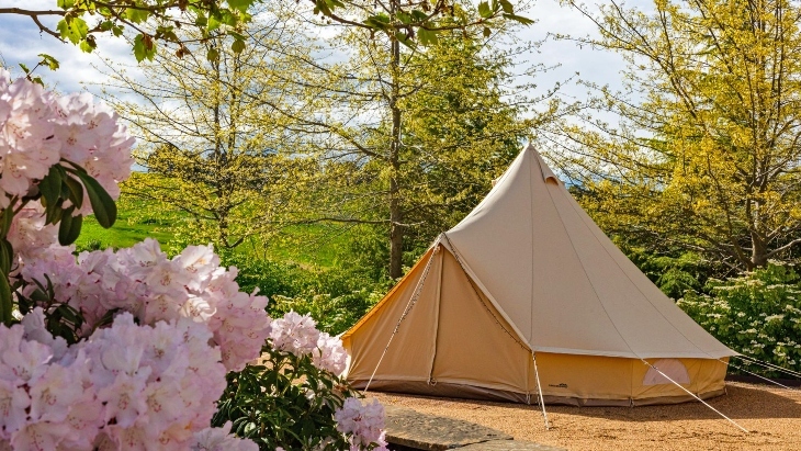 Glamping at Mayfield