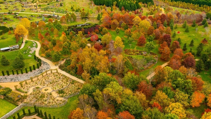 Mayfield Gardens