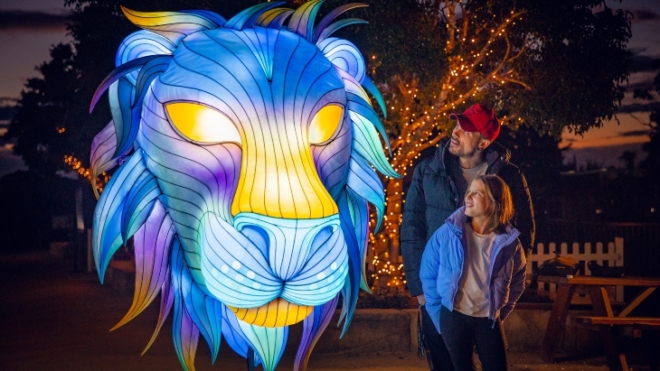 GLOW Sydney Zoo 2024
