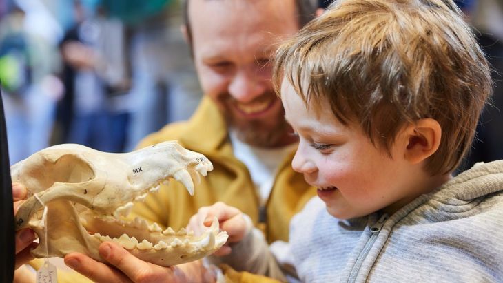 Australian Museum Science Week