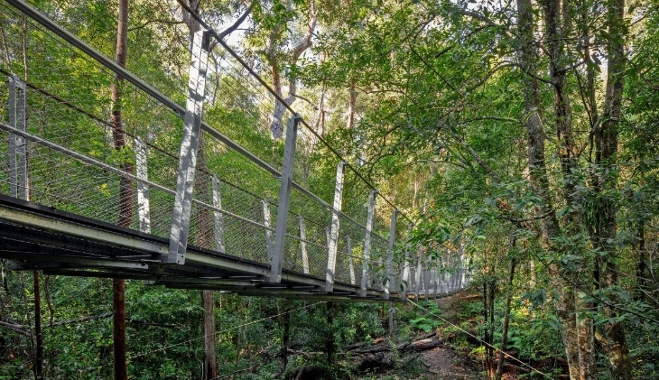 The best bush walks in Sydney for families