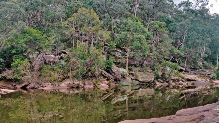 The best bush walks in Sydney for families