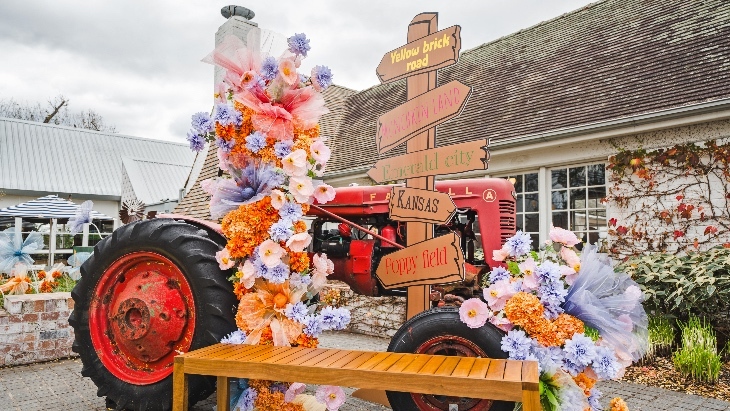 Land of Oz at Camden Valley Inn