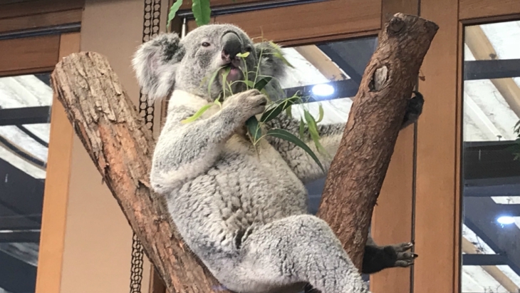 Featherdale Wildlife Park