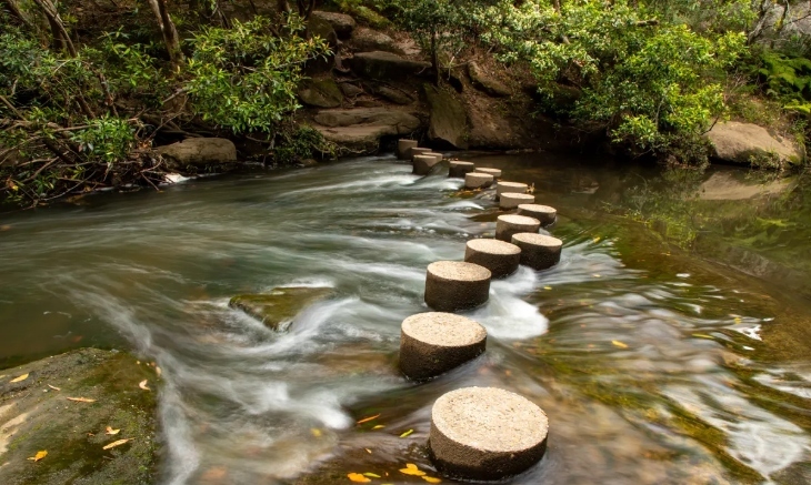 The best bush walks in Sydney for families