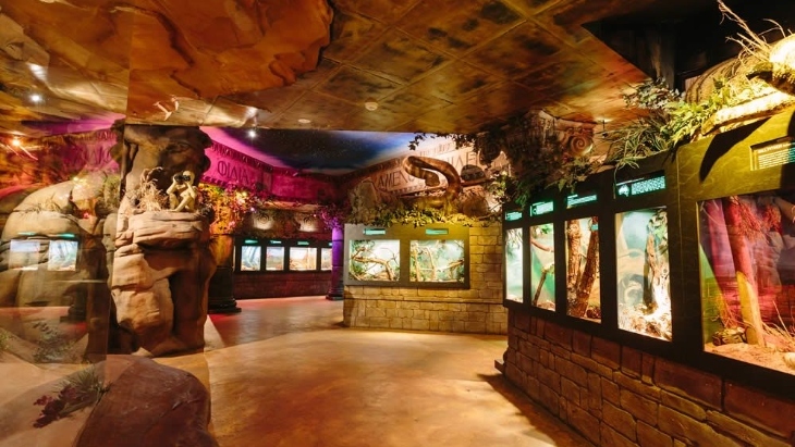 Australian Reptile Park