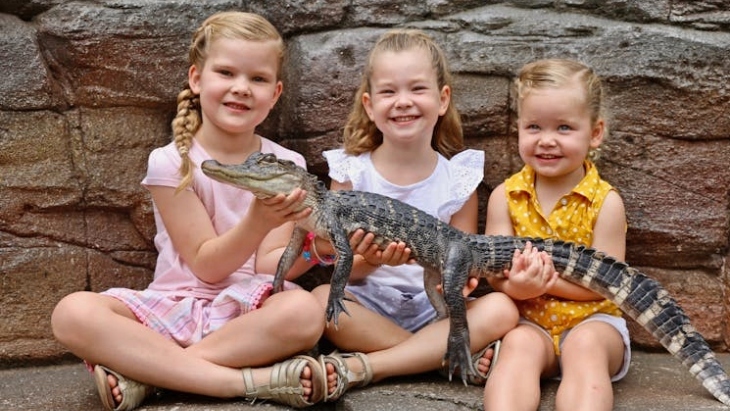 Australian Reptile Park