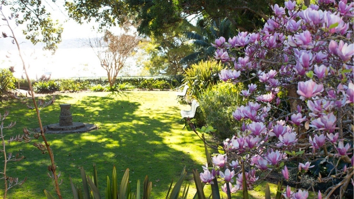 Blackburn Gardens Double Bay