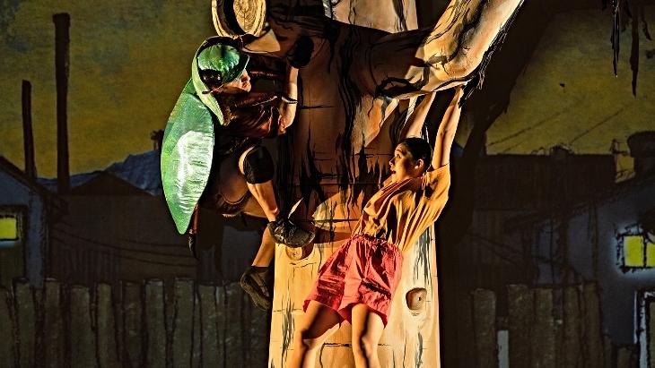 Beetle at Chatswood Culture Bites