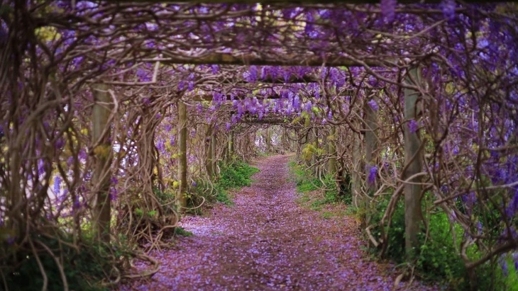Secret gardens in Sydney