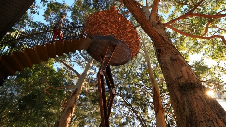 Eveleigh Treehouses