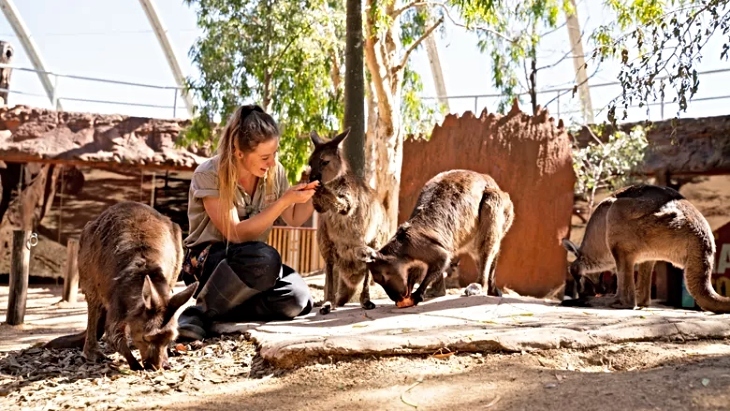 WILD LIFE Sydney Zoo