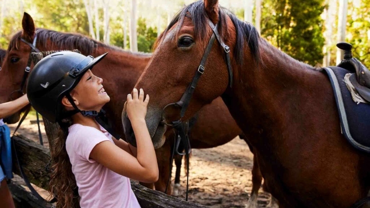 Glenworth Valley Horse Riding Camps