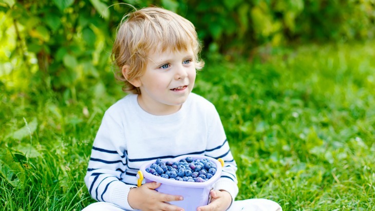 Boy with a basket of blueberries