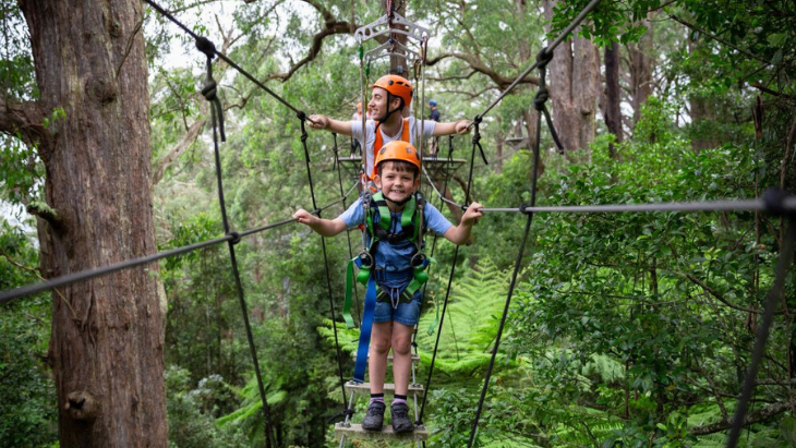 Illawarra Treetop Challenge
