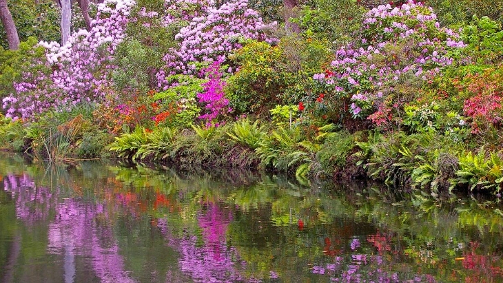 Secret gardens in Sydney