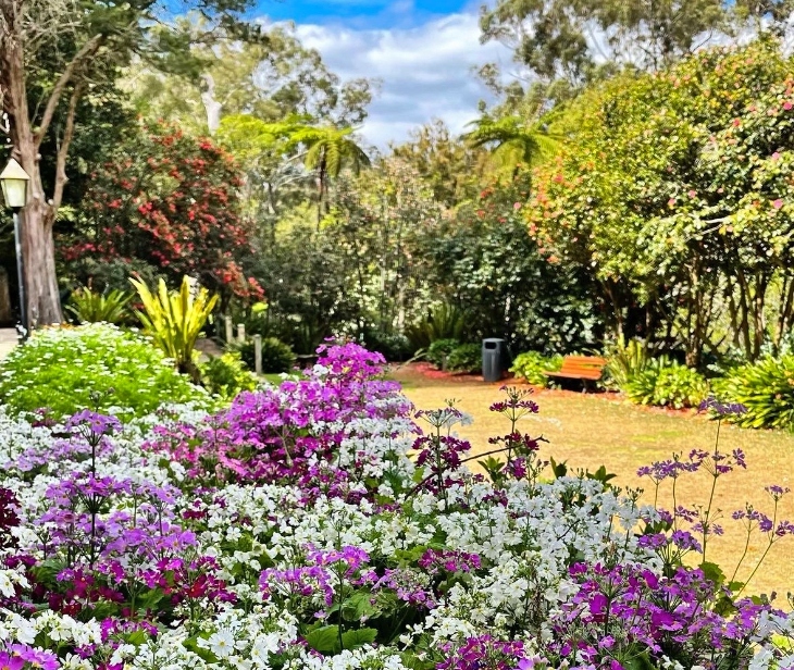 Lisgar Gardens