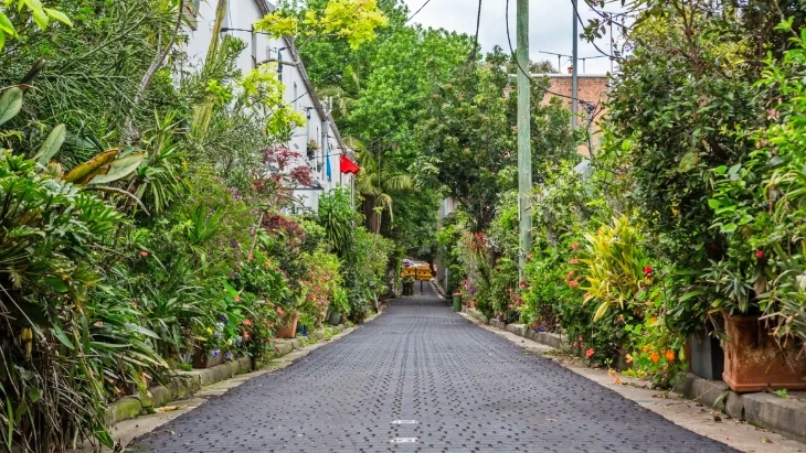 Cat Alley, Surry Hills