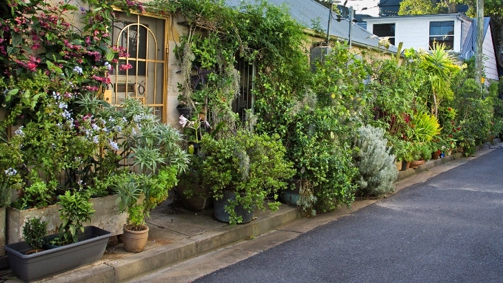 Secret gardens in Sydney