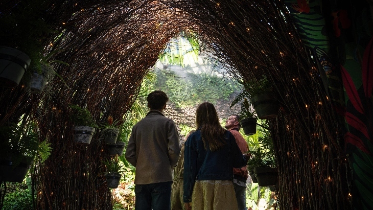 Alchemy of a Rainforest at the Royal Botanic Garden Sydney