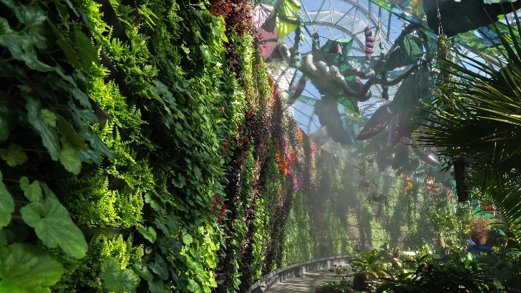 Alchemy of a Rainforest at the Royal Botanic Garden Sydney