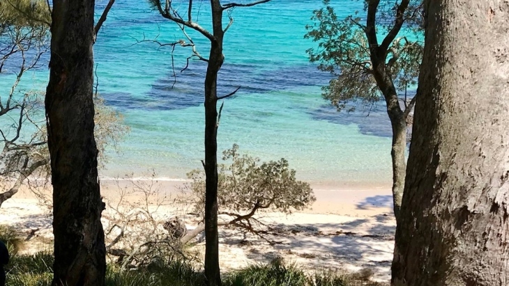 Bristol Point Campground